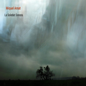 La soledat sonora. V