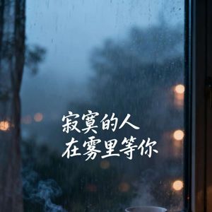寂寞的人在雾里等你