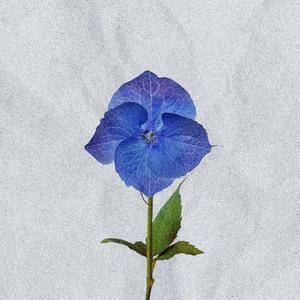 QUELQUE PART (feat. Athmos & Prisme)