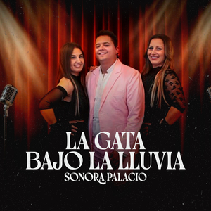 La Gata Bajo la Lluvia