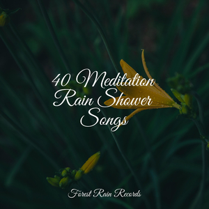 Rain Flows
