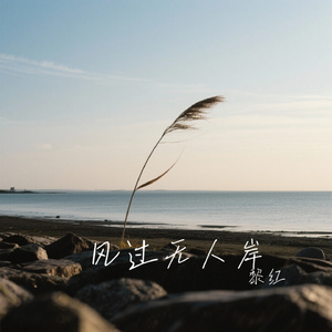 风过无人岸