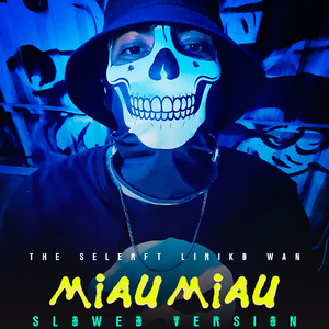 Miau Miau (Slowed Version)