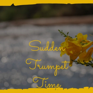 Chocolate Ice Cream Cone