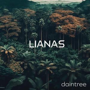 Daintree (Meditation)