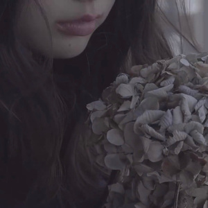 ドライフラワー（干花）