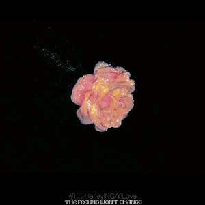 初见The feeling won't change（prod by Scorpion）