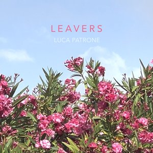 Leavers