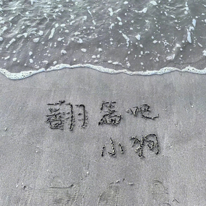悲伤小狗日记（prod by Lion_Z狮子）