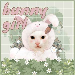 Bunny Girl - Slower Version