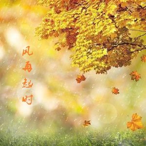 风再起时 伴奏