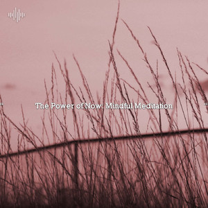 Surf Waves For Sleep