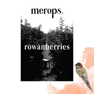 Rowanberries