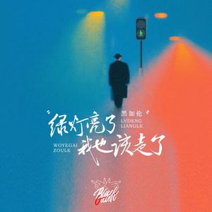 绿灯亮了我也该走了