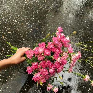 平凡情书