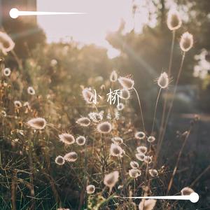 送我一朵小红花（翻自 赵英俊）