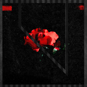 Psychedelic From Toronto