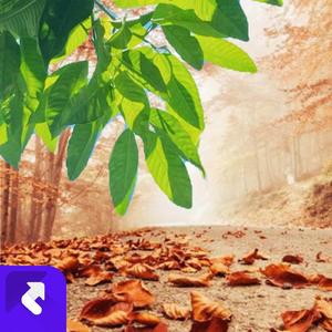 为了挣钱心操碎[伴奏] (现场)