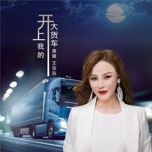 开上我的大货车 (Dj何鹏版)