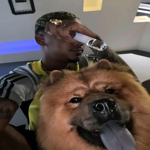 SEQUENCIA MUITO KENTI DO VT GOMES