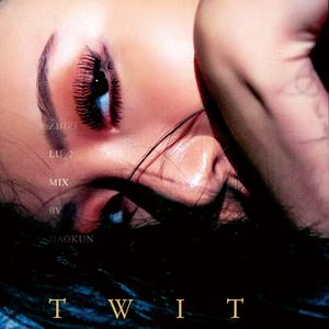 Twit（翻自 华莎）