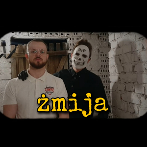 Żmija