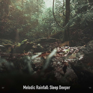 Soft Rainfall Night