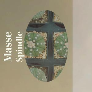 Masse Spindle