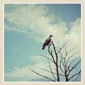 কিস্তির লোক এসে উঠোনে চেয়ার পেতে বসে থাক by @dumbstruckdiamond2254