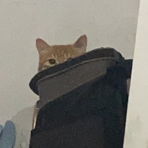 原来你也在这里_。(2)_01