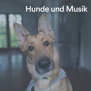 Melodie um Ihren Welpen zu beruhigen