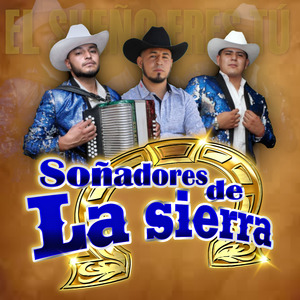 Enloquecido