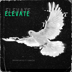 Elevate