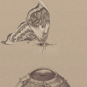 檻の中の女と気取った恋人