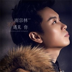 不该遇见你 (DJ王贺Extended)