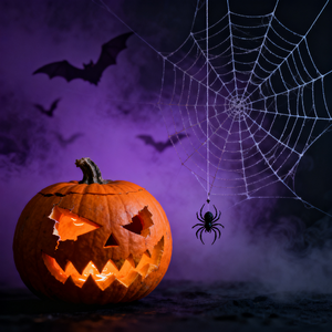 植物大战僵尸（PHONK）