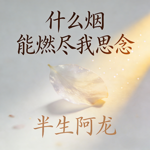 什么烟能燃尽我思念