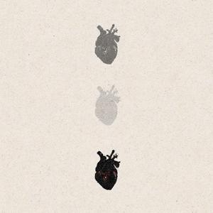 A Ógánaigh An Chúil Chraobhaigh