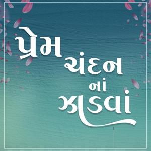 પ્રેમ ચંદન ના ઝાડવાં || PREM CHANDAN NA JADVA || BANJO || 2026 (feat. Dwarkesh Sound Bhanvad)