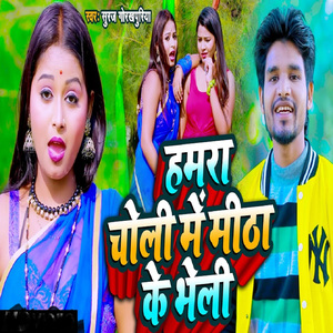 Hamra Choli Me Mitha Ke Bheli