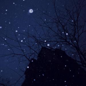 永不失联的爱（单依纯版）