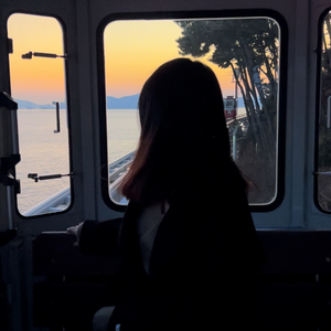 如愿（cover王菲）