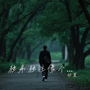 独来独往像个高手