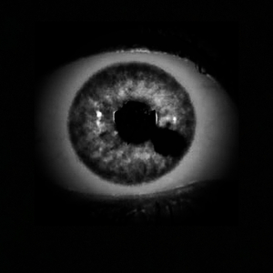 Amygdala