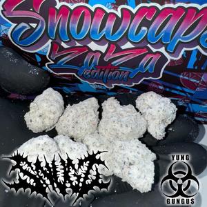 $nowcapz (feat. yung gungus)