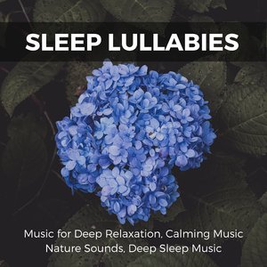 Contraction (Original Mix)