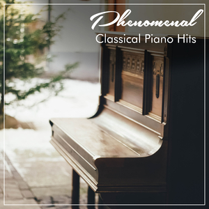 Beethoven's Sonata No 15 in D Major Op 28 Pastoral IV Rondo Allegro Ma Non Troppo