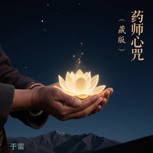 药师心咒藏版