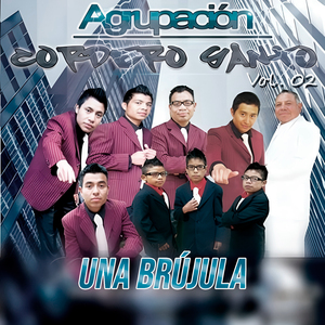 Robaste el Corazón