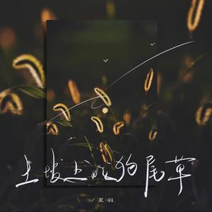 土坡上的狗尾草（新版）
